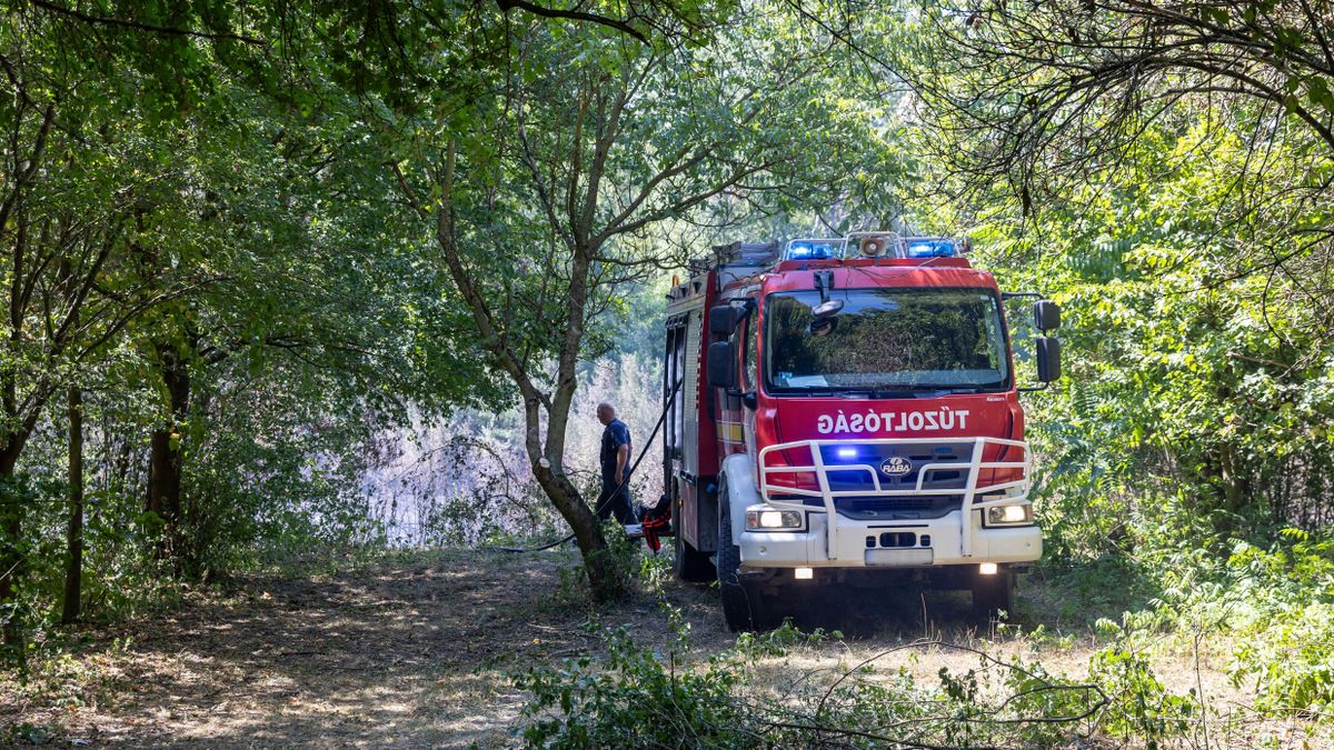 Helyszíni fotókon és videón a tatabányai tűz: több hektár borult lángokba