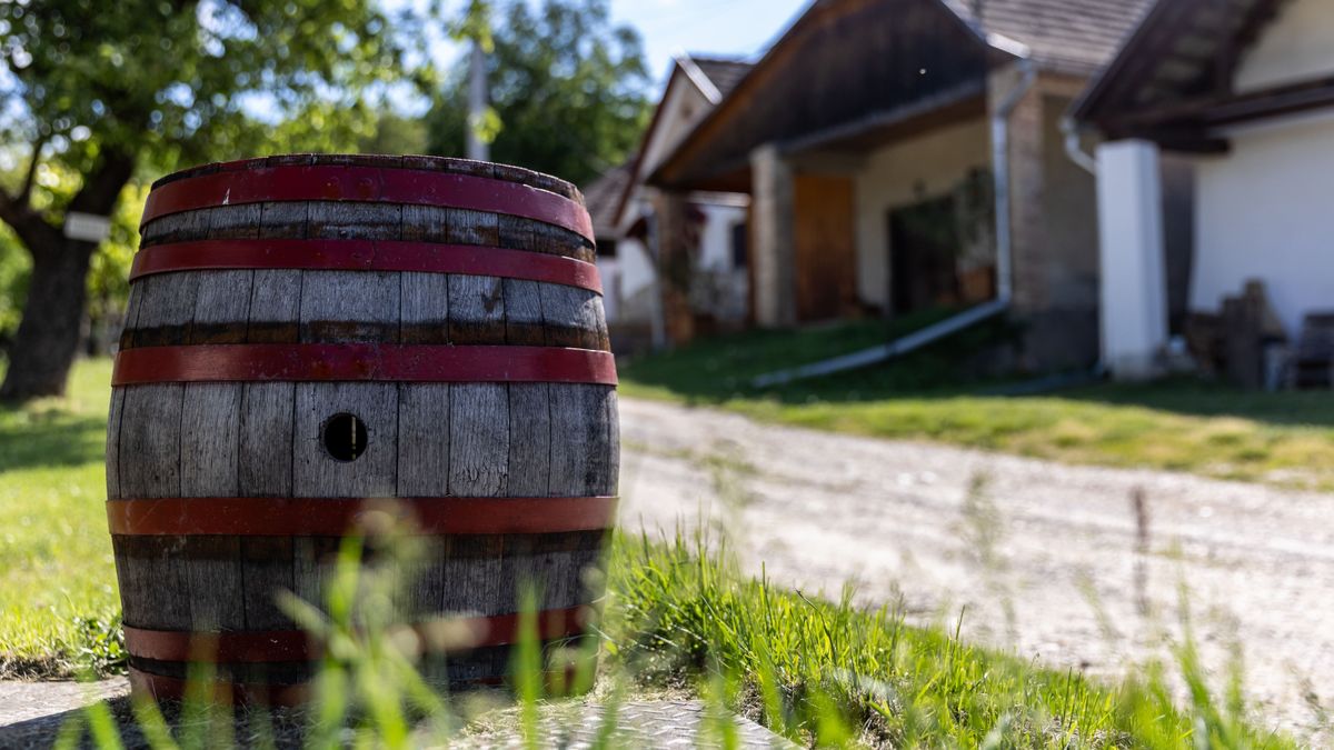 Minden az időjáráson múlik: ezt várják idén a neszmélyi borászok az idei szőlőterméstől