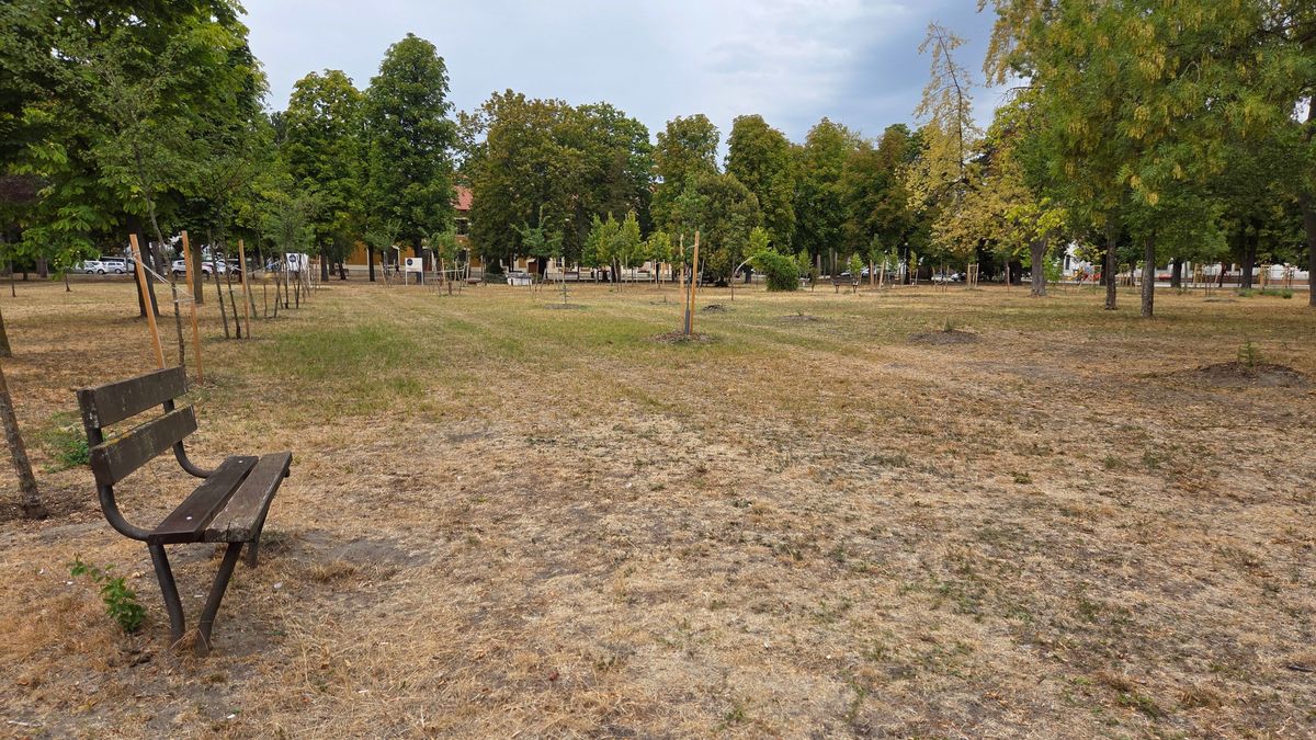 Átalakul a volt KRESZ-park Komáromban: kiderült, mi fog épülni a Brigetio Látogatóközpont mögött