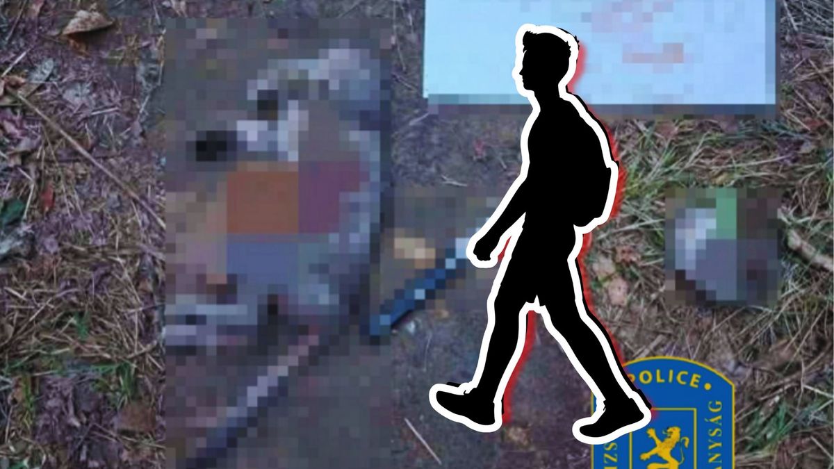 Bizarr csoport tagja a kegyetlen állatkínzó: kiderült, ki csonkította meg a cicát Oroszlányban