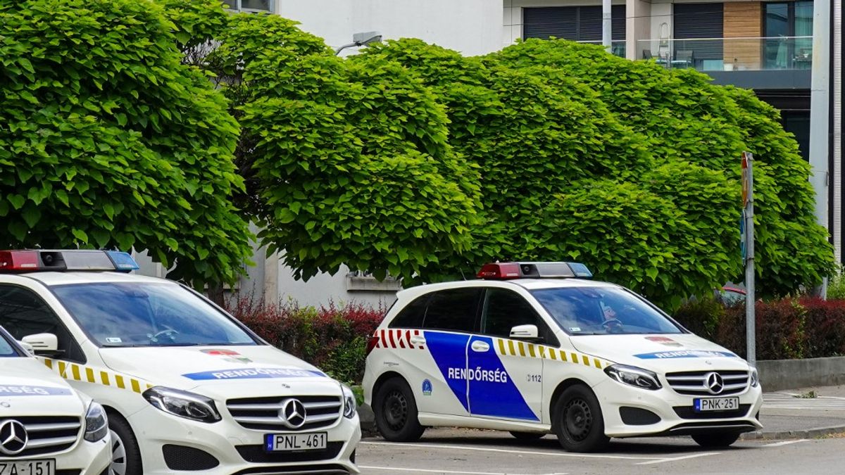 Újabb fordulat a gyilkossági ügyben: ezt a férfit is elengedték