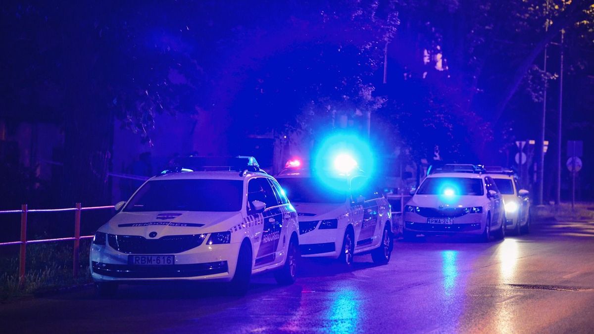 Szóváltásból lett késelés egy esztergomi munkásszállón, egy ember életét vesztette