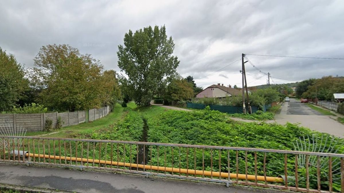 Kinek a felelőssége a súlyos ólomszennyezéssel érintett patak?