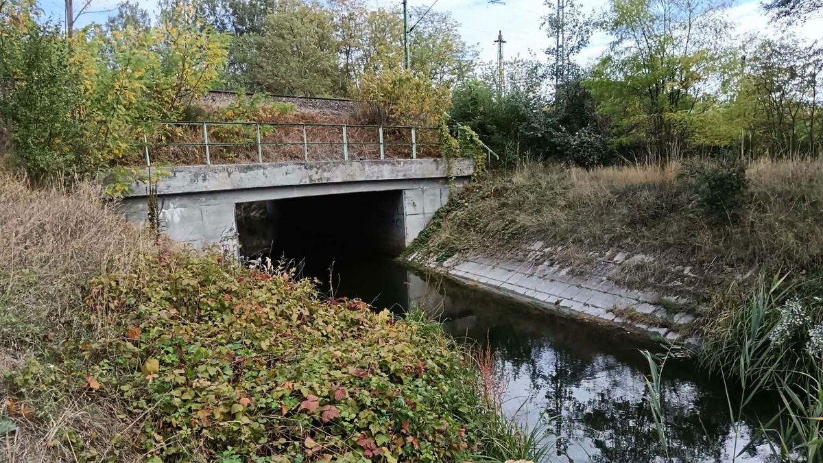 Kiszáradás fenyegette a csatornát, rendkívüli megoldást találtak